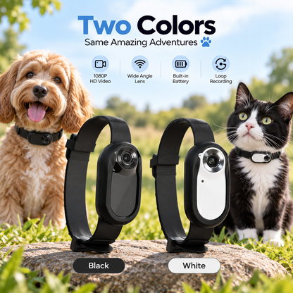 1080P Full HD Pet Camera Collar with Memory Card – Mini Action Camera for Cats & Dogs