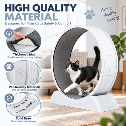 Pet Exercise Wheel for Indoor Cats – Quiet Running Treadmill with Detachable Carpet
