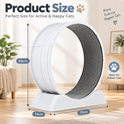 Pet Exercise Wheel for Indoor Cats – Quiet Running Treadmill with Detachable Carpet