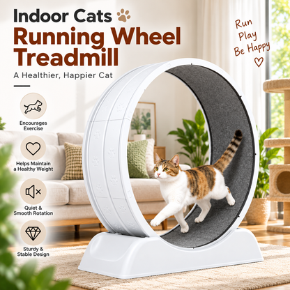 Pet Exercise Wheel for Indoor Cats – Quiet Running Treadmill with Detachable Carpet