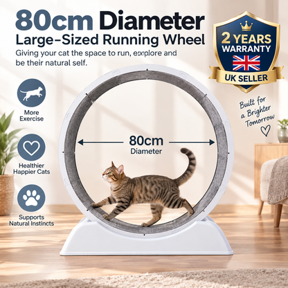 Pet Exercise Wheel for Indoor Cats – Quiet Running Treadmill with Detachable Carpet